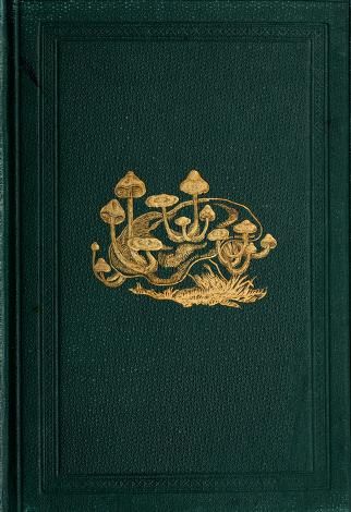 British fungi (hymenomycetes) : Stevenson, John, d. 1893 : Free Download, Borrow, and Streaming : Internet Archive Vintage Book Cover Wallpaper, Gilded Book Cover, Book Cover Wallpaper, Green Book Cover, Old Book Cover, Book Cover Art Design, Diary Cover, Vintage Book Cover, Diary Covers