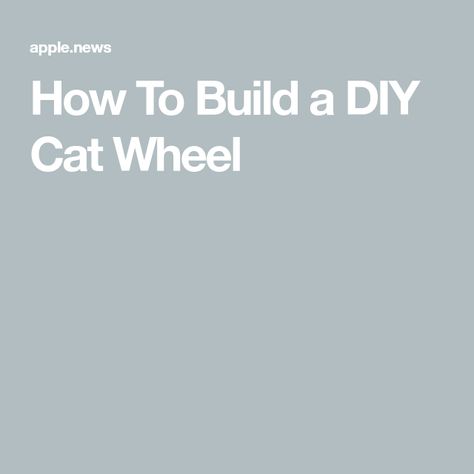 How To Build a DIY Cat Wheel Diy Cat Wheel, Cat Wheel, Skateboard Wheel, Internet Cats, Hamster Wheel, The Family Handyman, Exercise Wheel, Diy Cat, Family Handyman