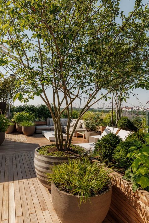 Italian Terrace Garden, Rooftop Garden Design Modern, Terrace Roof Design, Minimalist Terrace, Roof Deck Garden, Terrace Design Ideas, Design Terrace, Design For House, Terrace Roof