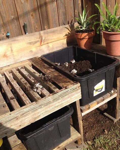 Potting Bench made out of recycled wood. The plastic tubs are used so that worm castings from the worm farm can be stored in the one on the right and any spill-over from the potting process will fall into the bin on the left. Potting Bench In Garage, Potting Bench With Soil Bin, Greenhouse Potting Bench, Potting Shed Storage Ideas, Potting Soil Storage Ideas, Potting Bench Ideas Diy, Potting Shed Ideas, Potting Shed Interior Ideas, Potters Bench