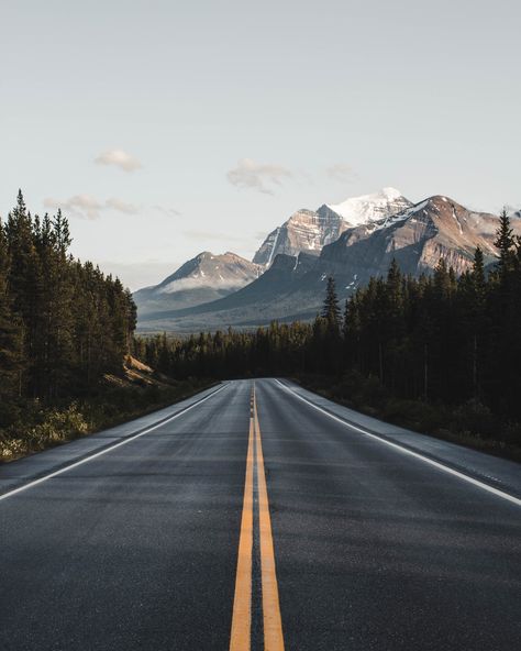 Great American Road Trip, الفن الرقمي, World Of Wanderlust, World Most Beautiful Place, Beautiful Roads, Forest Landscape, Landscape Pictures, Wall Art Canvas Painting, Beautiful Places In The World