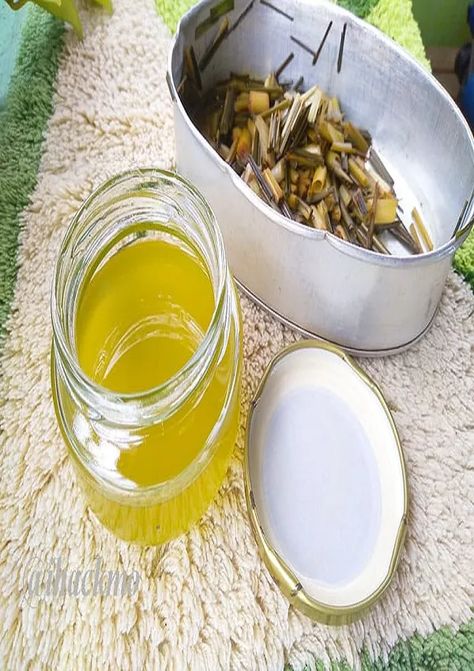 Homemade Citronella Oil, Citronella Oil Diy, Citronella Soap Recipe, How To Make Citronella Oil, How To Make Citronella Oil From Plant, Diy Citronella Oil, Citronella Plant Uses, Diy Citronella Candles, Diy Citronella