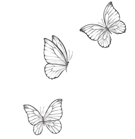 Butterfly Tattoo Template, Hand Tattoos Cute, Butterfly Tattoo Outline, Butterfly Tattoo Simple, Tattoos Spine, Watermelon Tattoo, Butterfly Tattoos Images, Butterfly Tattoo Stencil, Tattoos Pretty