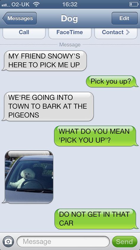 What If Dogs Could Text? 25 Hilarious Texts From Dogs If Dogs Could Text, Funny Dog Texts, Dog Texts, Lol Text, Funny Text Conversations, Text Conversations, Text Jokes, Text For Him, What Do You Mean