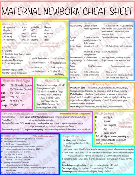 Maternal Newborn Cheat Sheet - Etsy Philippines Nursing Maternity Cheat Sheet, Ob Nursing Student Cheat Sheets, Ob Nursing Student, Nursing School Studying Cheat Sheets, Nursing Cheat Sheet, Nurse Study, Nursing Cheat, Medical Notes, Child Nursing