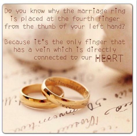 Wedding ring meaning quote Wedding Ring Meaning Quotes, Wedding Ring Engraving Quotes, Ring Exchange Wording, Wedding Ring Graphic, Wedding Rings Quotes, Rings Quotes, Ring Meaning, Wedding Wishes Quotes, Rings With Meaning