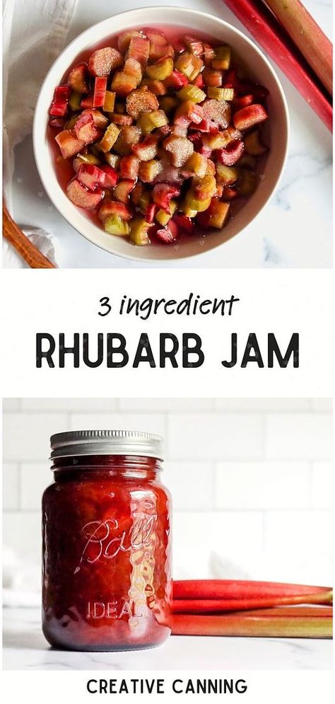 Simplify your preserves with our 3 Ingredient Rhubarb Jam recipe, a highlight of homemade jam recipes for canning. No pectin needed, just rhubarb, sugar, and water for a delicious spread. Perfect for beginners and seasoned canners. Discover more canning fruit recipes, rhubarb canning recipes, and no pectin jam recipes at creativecanning.com. Rhubarb Jam Recipes Canning, Rhubarb Canning Recipes, Jam Recipes For Canning, Raspberry Jam No Pectin, Homemade Jam Recipes, Raspberry Rhubarb Jam, Canning Fruit Recipes, Rhubarb Preserves, Grape Jam Recipe