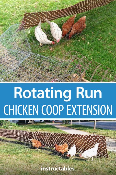 Chicken Run Extension, Chicken Coop Extension, Chicken Coop Plans Free, Cheap Chicken Coops, Chicken Coop Pallets, Chicken Cook, Chicken Roost, Chicken Coop Decor, Chicken Pen