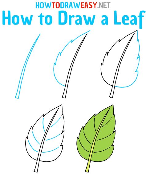 How to Draw a Leaf Step by Step #Leaf #LeafDrawing #HowtoDrawaLeaf #HowtoDrawLeaves #Tree #Nature #LeafDrawingEasy #EasyDrawings #EasyDrawingTutorials #SimpleDrawing #HowtoDrawaLeafEasy #Green #GreenDrawing #GreenLeaf #SimpleDrawingGuides #SimpleDrawing #DrawingforKids #DrawingforBeginners #Cartoon #CartoonDrawings #Cartoons How To Draw A Leaf Easy, Easy Leaf Drawing Step By Step, How To Draw A Leaf, Leaf Drawing Step By Step, Leaf Drawing Easy, Draw A Leaf, Fall Leaves Drawing, Science Aesthetic, How To Dr