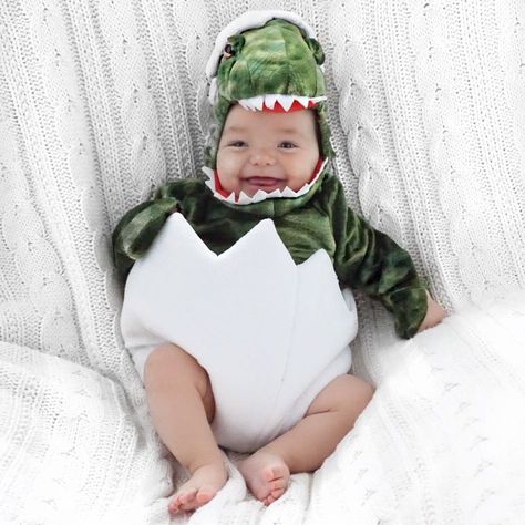 These dino costumes are dino-mite. Halloween Costumes Dinosaur, Dinosaur Halloween Costume, Dino Costume, Newborn Halloween Costumes, Dinosaur Halloween, Baby Boy Halloween, Newborn Halloween