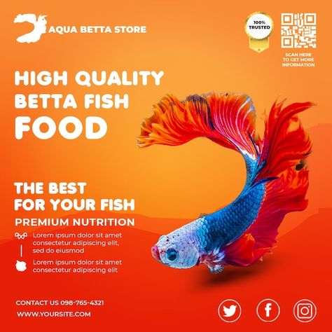 Betta fish social media instagram post t... | Premium Psd #Freepik #psd #betta #betta-fish #aquarium-fish #tropical-fish Fish Poster Design, Fish Benefits, Fish Poster, Product Poster, Fish Tropical, Fish Breeding, Kids Fishing, Fish Aquarium, Aquarium Design