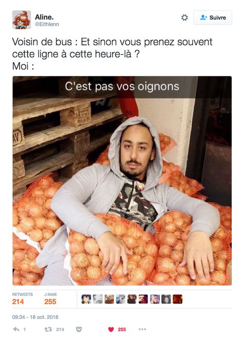 100 perles d'internet qui feront pleurer de rire tous les Français Funny Bunnies, Weird Stories, Minions Funny, Funny Tweets, Memes Quotes, Funny Moments, Funny Gif, Funny Memes, Humor