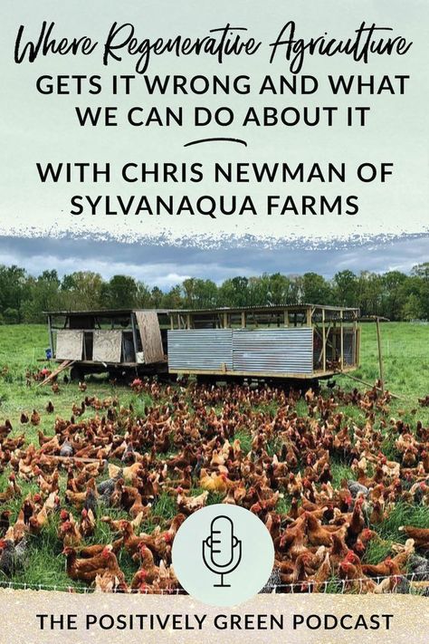 Episode 32 - Where regenerative agriculture gets it wrong and what we can do about it with Chris Newman of Sylvanaqua Farms - Green Willow Homestead #homesteading #regenerativeagriculture #farming #localfood #farmer Landscape Makeover, Chicken Rearing, Art Creative Ideas, Regenerative Farming, Sustainable Food Systems, Regenerative Agriculture, Build House, Permaculture Gardening, Cattle Farming