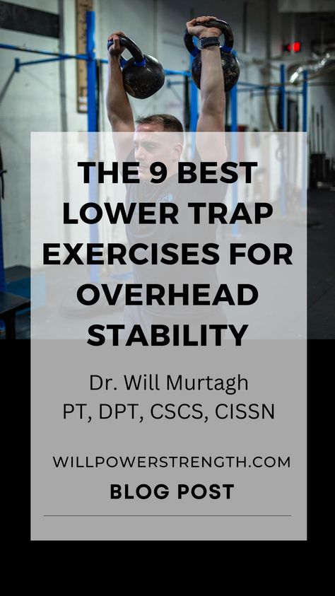 In this article, we will discuss nine effective exercises that target the lower traps, helping you build the strength and stability needed for optimal overhead performance. Lower Trap Exercises, Trap Exercises, Effective Exercises, Mobility Exercises, Build Strength, Health Coaching, Strong Core, Back Exercises, Everyday Activities