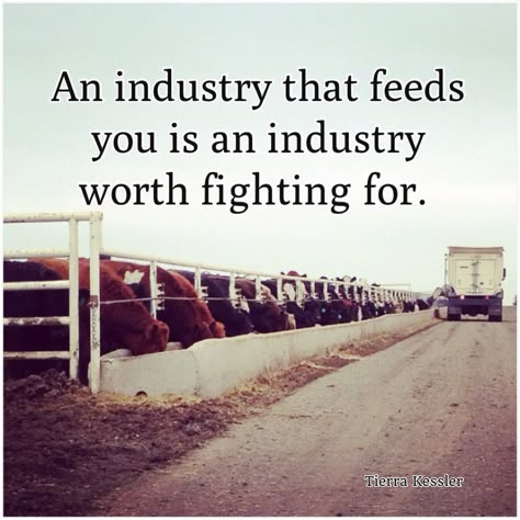 Ag Quote, Agriculture Quotes, Farmer Quotes, Farming Quotes, So God Made A Farmer, Thank A Farmer, God Made A Farmer, Farm Quotes, Stock Show