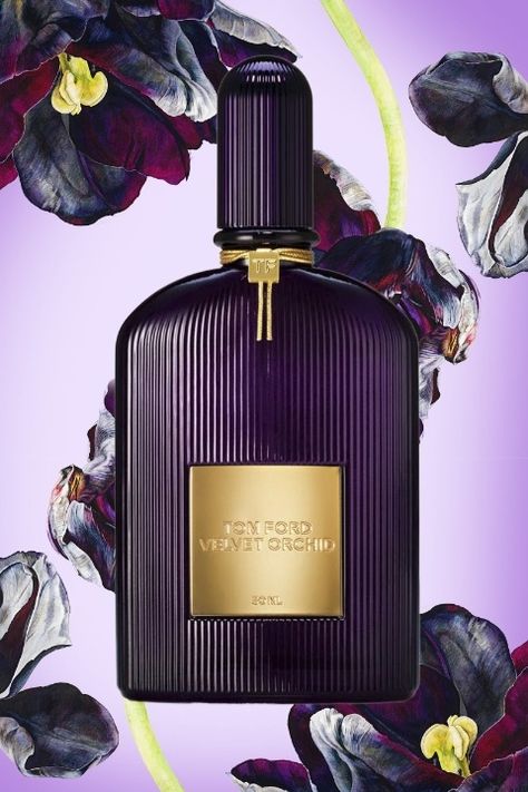 Tom Ford Velvet Orchid, Spring Perfume, Tom Ford Perfume, Best Perfumes, Spring Scents, Wear Perfume, Perfume Scents, Fragrance Set, Best Fragrances