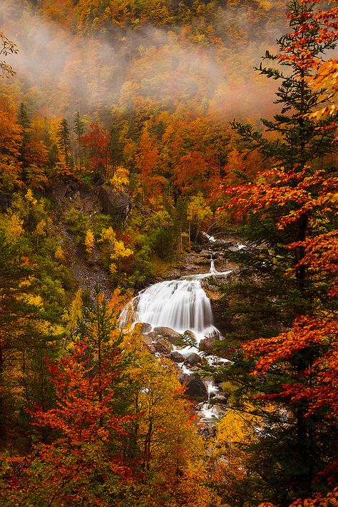 Arripas Waterfall in the Ordesa Valley, Spain #places Autumn Scenes, Disney Couples, Autumn Scenery, Autumn Beauty, Fall Pictures, Autumn Cozy, Autumn Trees, Fall Foliage, In The Fall