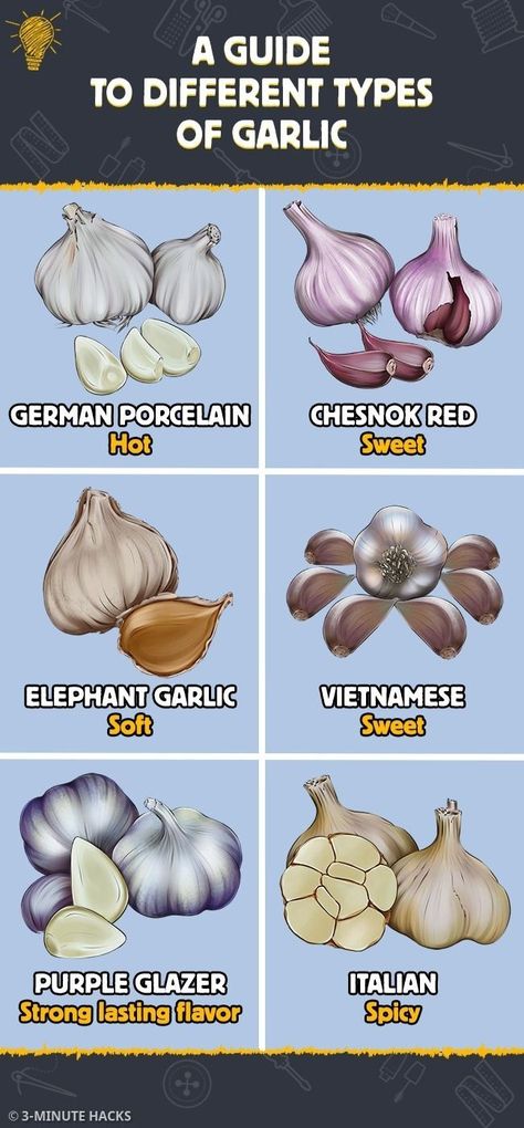 Types Of Garlic, Fruit Health, Food Vocabulary, Spice Mix Recipes, Culinary Techniques, Food Charts, Healthy Homemade Recipes, Cooking Guide, Food Info