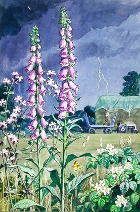 Foxglove Art, Charles Tunnicliffe, Thunder Clouds, British Paintings, Garden Paintings, British Landscape, Summer Storm, Nature Artists, Ladybird Books