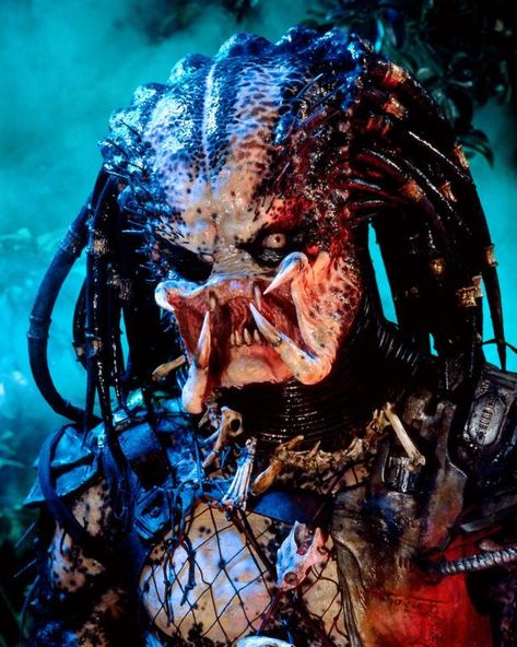 Predators Film, Predator Artwork, Predator Alien Art, Predator Movie, Horror Monsters, Best Horror Movies, Tapeta Galaxie, Alien Vs Predator, Alien Vs