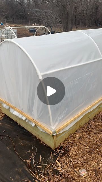 From Seed to Spoon Gardening App on Instagram: "We received a great question about how we get into our raised beds when we have the plastic sheeting in place. This is why we put our dome onto hinges so we could have easy access into the beds! #growfood #growyourfood #growyourownfood #gardening #growingfood #vegetablegarden #vegetable #fromseedtospoon #seedtospoon #growfoodnotlawns #letsgrowsomethinggood #diy #diygreenhouse #diyhoophouse" Garden App, Texas Gardening, Diy Greenhouse, Plastic Sheet, Plant Ideas, Grow Your Own Food, Plastic Sheets, Growing Food, Raised Beds