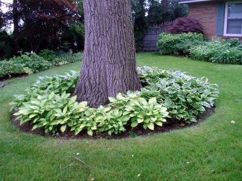 15 Beautiful Ideas For Decorating The Landscape Around The Trees Narrow Landscaping Ideas Side Garden, Patio And Lawn Ideas, Large Yard Landscaping, Landscaping Around Trees, Backyard Trees, Small Front Yard Landscaping, Yard Landscape, Tree Landscape, Desain Lanskap