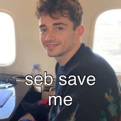 F1 Stickers, Funny F1, F1 Meme, F1 Memes, Formula Racing, Bad Jokes, Reaction Pics, Charles Leclerc, Funny Reaction Pictures