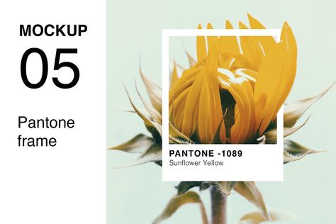 Pantone Swatch, Pantone Swatches, Colour Guide, Website Mockup, Byron Bay Australia, Stationery Mockup, Tropical Design, Business Icons Design, Creative Ads