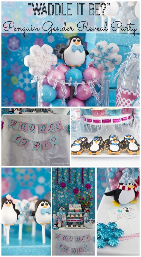 "Waddle it Be?" gender reveal baby shower, great idea for winter! See more party ideas at CatchMyParty.com. #babyshower #genderreveal #penguin Gender Reveal Ideas For Party Winter Theme, Gender Reveal Theme Ideas Winter, Gender Reveal Ideas In Winter, Gender Reveal January Party Ideas, Winter General Reveal Ideas, Winter Gender Reveal Photoshoot, March Gender Reveal Ideas, Gender Reveal Ideas Winter Time, Gender Reveal Ideas Winter