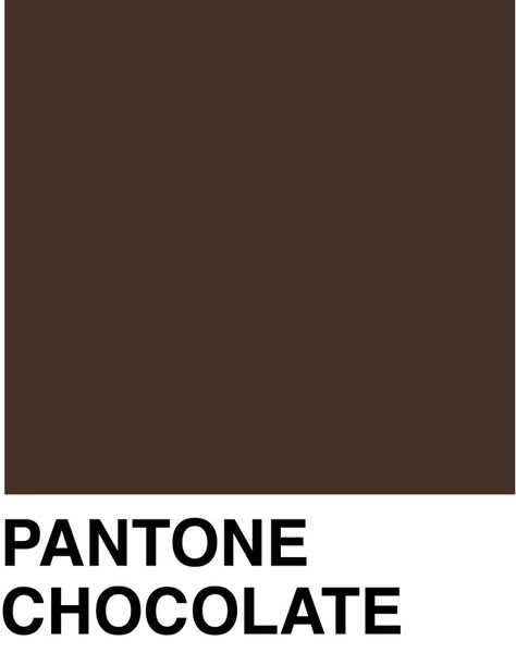 Pantone Brown Pantone, Pantone Tcx, Painting Corner, Brown Paint Colors, Flat Color Palette, Pantone Swatches, Pantone Colour Palettes, Deep Autumn, Chocolate Brown Colour