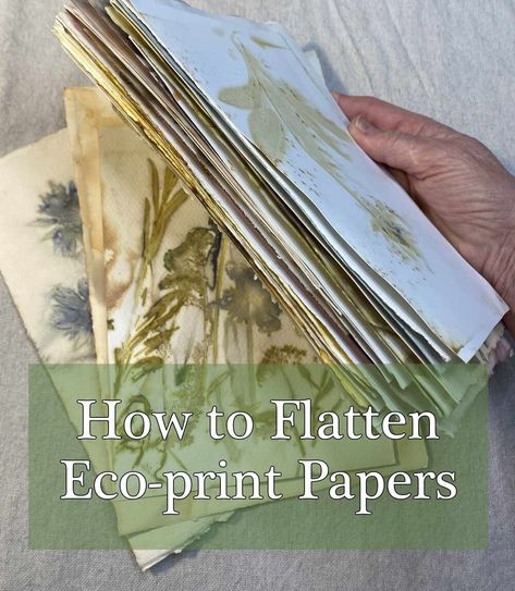 Ecoprint Paper, Eco Printing Tutorial, Eco Printing Textiles, Natural Dye Fabric, Sun Prints, Pressed Flower Crafts, Eco Dyeing, Eco Print, Carol Ann