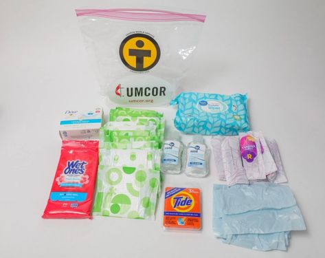 Menstrual Kit, Hygiene Kit, Menstrual Hygiene, Basic Necessities, Flushable Wipes, Sink Sizes, Sanitary Napkin, Trash Bags, Girls World