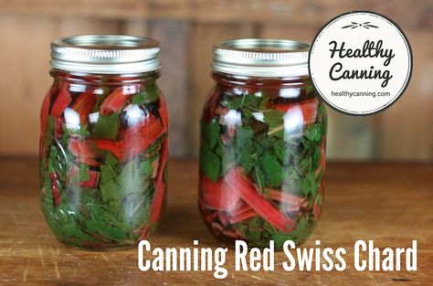 Canning Red Swiss Chard 1004 Canning Swiss Chard, Pickled Swiss Chard, Storing Swiss Chard, Pickled Swiss Chard Stems, Can You Freeze Swiss Chard, Red Chard, Rainbow Swiss Chard, Swiss Chard Recipes, Chard Recipes