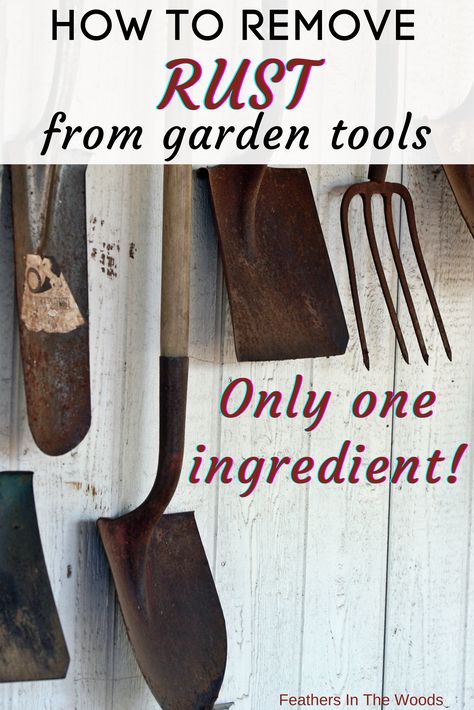 Removing rust from garden tools Tool Storage Garden, How To Clean Garden Tools, Cleaning Garden Tools, Cleaning Rusty Tools, Horticulture Therapy, Old Garden Tools, Clean Garden Tools, Small Garden Tools, Homestead Skills