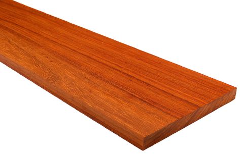 Can I Use Padauk Wood For Home & Kitchen Cabinets? | HOME CABINET EXPERT Wood Kitchen Cabinet, Padauk Wood, Flexible Wood, Wood Lumber, Orange Door, Cherry Hardwood, Wood Kitchen Cabinets, Wood Fiber, Wood Kitchen