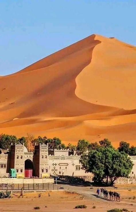 Morocco Travel and Tours | Beautiful weekend 😍 Morocco Hotel, Architecture Photography Buildings, Morocco Itinerary, Morocco Tours, Visit Morocco, Earth Globe, Morocco Travel, Sahara Desert, Travel Inspo