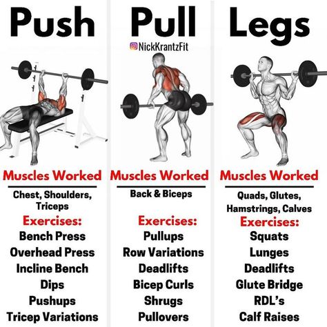 Ppl Workout Routine, Ppl Split, Pull Workouts, Push Pull Legs Routine, Pull Exercises, Push Pull Legs Workout, Pull Workout, Push Pull Workout, Push Pull Legs