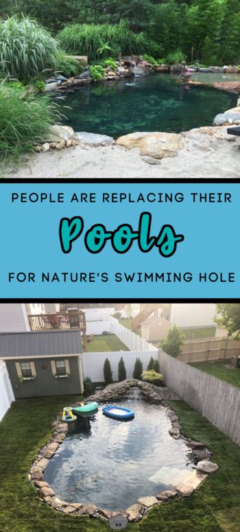 All Natural Swimming Pool, Big Ponds Backyard, Swimming Hole Pool, Small Natural Pool Ideas, Pond Pools Backyard Diy, Turn Pool Into Pond, Natural Pools Backyard Swimming Ponds Diy, Diy Salt Water Pool, Natural Pools Backyard Diy