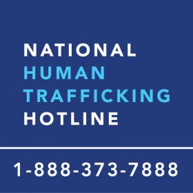 Human Trafficking Facts, Stop Human Trafficking, Human Trafficking Awareness, Get Educated, Fact Sheet, The National, Labor, Human, Quotes