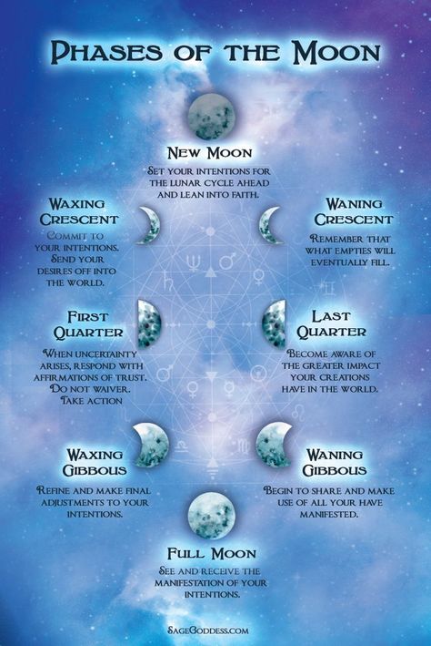 Earth Witch, Moon Meaning, The Phases Of The Moon, Moon Magick, Chart Astrology, Moon Spells, Moon Astrology, Moon Rituals, New Moon Rituals