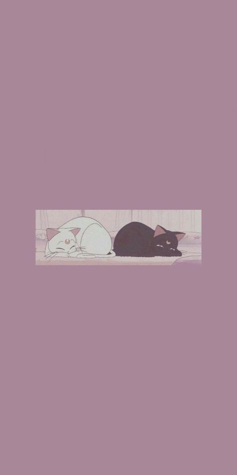 Sailor Moon Lockscreen Aesthetic, Grey And Pink Wallpaper, Draincore Wallpaper, Wallpaper Combo, Sailor Moon Cat, Fall Cats, Midnight Memories, Boss Wallpaper, Astronomy Art