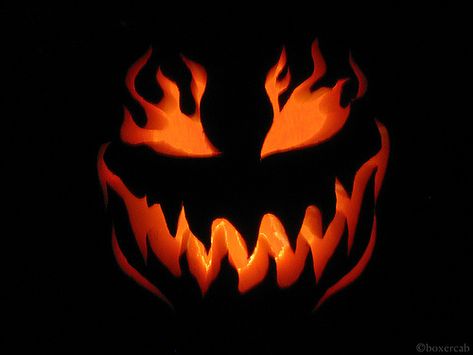 jack o lantern - Google Search Entrada Halloween, Sac Halloween, Scary Halloween Pumpkins, Pumkin Carving, Halloween Pumpkin Carving Stencils, Scary Pumpkin Carving, Pumpkin Carving Designs, Halloween Pumpkin Designs, Jack O Lantern Faces