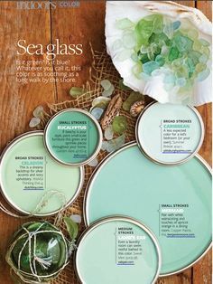 Seaglass Paint, Living Room Shades, Beach Color Palettes, Coastal Paint Colors, Best Kitchen Colors, Trendy Kitchen Colors, Interior Paint Colors Schemes, Paint Color Schemes, Kitchen Colour Schemes