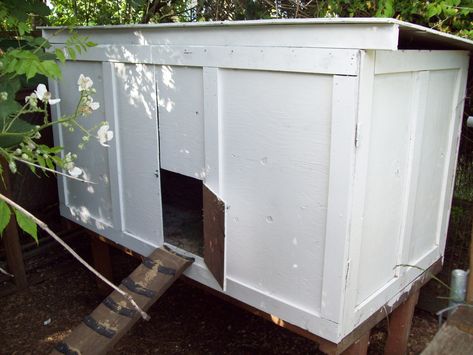 Wife and I found this great deal on a motorcycle shipping crate on craigslist. A 4x8 solid wood crate for only $75! The finished coop has a 4x4 large door on the front which swings open for easy cleaning. Getting the chickens in the... Shipping Crate Chicken Coop, Crate Chicken Coop, Large Wooden Crates, Chicken Coup, Large Door, Large Dog Crate, Shipping Crates, Carpentry Skills, Diy Chicken Coop