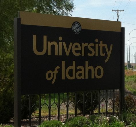 The University of Idaho University Of Idaho Aesthetic, Idaho Aesthetic, College Goals, University Of Idaho, Inland Empire, Hobbies And Interests, Career Goals, All Smiles, College Life