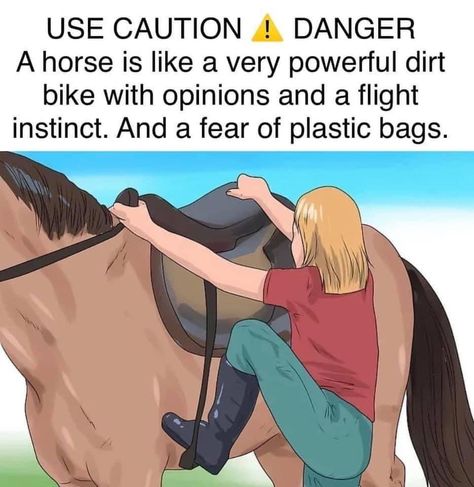 Equestrian Memes, Equine Quotes, Funny Horse Memes, Horse Quotes Funny, Funny Horse Videos, Funny Horse Pictures, Horse Jokes, Horse Riding Quotes, Riding Quotes