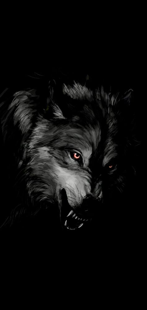 Lone Wolf Pictures, Wolf Black Wallpaper, Wolf Dark Wallpaper, Demon Wallpaper Dark, Wolf Wallpaper Dark, Angry Wolf Wallpaper, Dark Wolf Wallpaper, Wolf Profile Picture, Dark Wolf Art