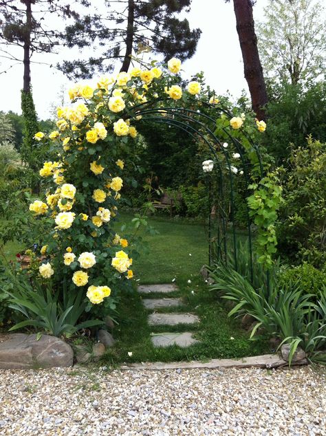 garden pathway  decoration ideas Roses Pergola, Cottage Garden Roses, Living Room Organic Modern, Living Room Organic, Garden Archway, Rose Garden Design, Garden Vases, Garden Arches, Outdoor Gardens Design