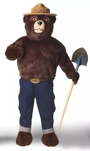 Smoky The Bear Costume, Smokey Bear Costume, Smokey The Bear Costume, Ghoul Party, Smoky The Bear, Smokey The Bear, Bear Mascot, Smokey Bear, Dream Farmhouse