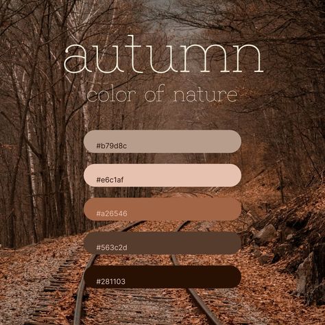 Natures color palette of autumn. This palette get the real feel of autumn, the cold, wet and cloud up weather. #colorpalette #colorpalettes #graphicdesign #graphicdesigner #colorofnature #hexcode #color #faul #autumn Ux Design Inspiration, Nature Color Palette, Ui Ux Design, Ux Design, Natural Color, Innovation Design, Fall Colors, Color Palette, Design Inspiration